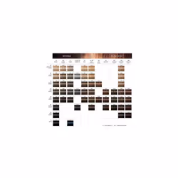 Schwarzkopf Professional Igora Royal Permanent Hair Color  4-88  Medium Brown Red Extra  60 Gram