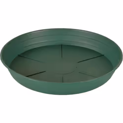 Hydrofarm HGS6P Green Premium  6  Pack of 25 Saucer  6 inches