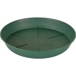 Hydrofarm HGS6P Green Premium  6  Pack of 25 Saucer  6 inches