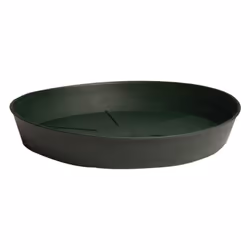 Hydrofarm HGS6P Green Premium  6  Pack of 25 Saucer  6 inches