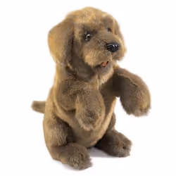 Folkmanis Sitting, Hand puppet, Animal, 1 pc(s)