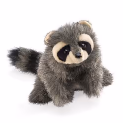 Folkmanis Raccoon, Hand puppet, Animal, 1 pc(s)