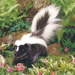 Folkmanis Skunk