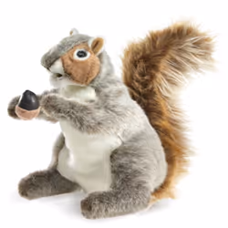 Folkmanis Squirrel, Gray, Finger puppet, Animal, 1 pc(s)