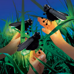 Folkmanis Mini Firefly