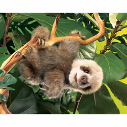 Folkmanis Sloth, Baby