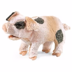 Folkmanis Grunting Pig, Hand puppet, Animal, 1 pc(s)
