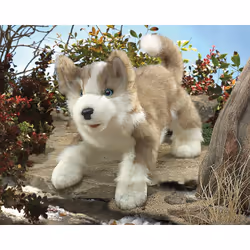 Folkmanis Wolf Pup