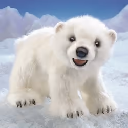Folkmanis Polar Cub Bear