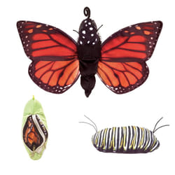 Folkmanis Monarch Life Cycle