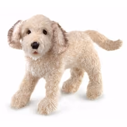 Folkmanis Labradoodle, Hand puppet, Animal, 1 pc(s)