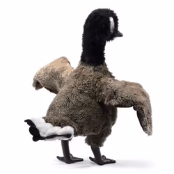 Folkmanis Goose, Canada