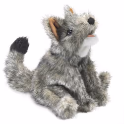 Folkmanis Coyote, Small, Hand puppet, Animal, 1 pc(s)