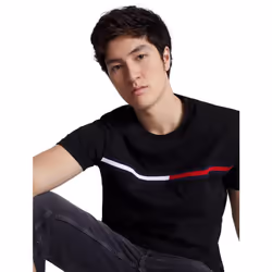 Tommy Hilfiger Men's Regular Fit Flag Embroidered Crew Neck T-Shirt  B