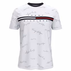 Tommy Hilfiger Men's Classic Fit Big Logo T-Shirt (Medium Silver Tomm
