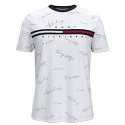 Tommy Hilfiger Men's Classic Fit Big Logo T-Shirt (Large  Silver Tommy