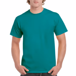 Gildan Men's G2000 Ultra Cotton Adult T-shirt, Jade Dome, Small