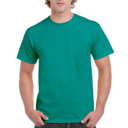 Gildan Men's G2000 Ultra Cotton Adult T-shirt, Jade Dome, Small