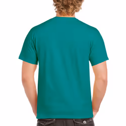 Gildan Men's G2000 Ultra Cotton Adult T-shirt, Jade Dome, Small