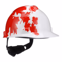 MSA Safety Works 641817004159 Patriotic Hardhat