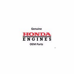 Honda 16952-ZA8-800 Filter Fuel