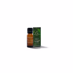 Forest Therapy Pure Essential Oil Blend 10 ml containing uplifting Pink Pepper Ho Wood and cleansing Juniper Berry calming Me ...
