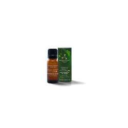 Forest Therapy Pure Essential Oil Blend 10 ml containing uplifting Pink Pepper Ho Wood and cleansing Juniper Berry calming Mediterranean Cypress Lemon
