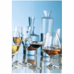Schott Zwiesel Tritan Crystal Glass Grappa Stemware  Set of 6