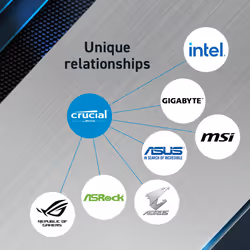 Crucial Pro memory module 24 GB 1 x 24 GB DDR5 5600 MHz