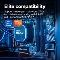 Crucial Pro CP2K16G64C32U5B memory module 32 GB 2 x 16 GB DDR5 6400 MT/s - Additional view 4