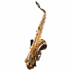 SSWING BHH17-FW musical instrument stand/mount Saxophone Black