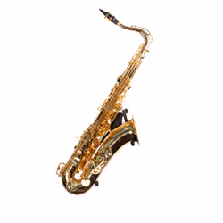 SSWING BHH17-FW musical instrument stand/mount Saxophone Black