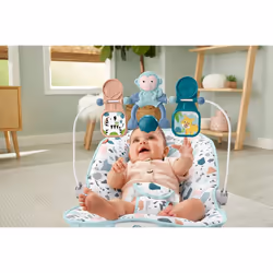 Fisher-Price GPH13 Baby's Bouncer, Multi-Coloured