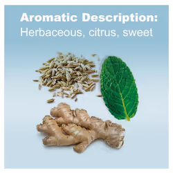 doTERRA Breathe (Air) Essential Oil (Respiratory Blend) 15 ml - (NEW Label)