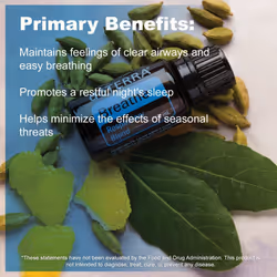 doTERRA Breathe (Air) Essential Oil (Respiratory Blend) 15 ml - (NEW Label)