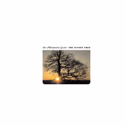 THE SUNSET TREE - THE MOUNTAIN GOATS - vinyl