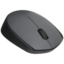 Logitech Wireless Mouse M170 â Grey