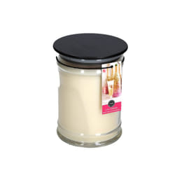 Bridgewater Candle 18oz Large Soy Wax Blend Fragranced Jar Candle-Let's Celebrate