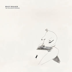ImportCDs Lillywhite Sessions Vinyl Americana