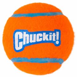 Chuckit! 084001 dog/cat toy