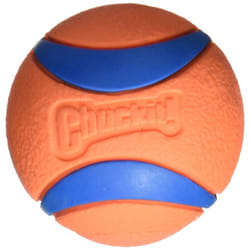 Chuckit Ultra Ball M 1-Pack