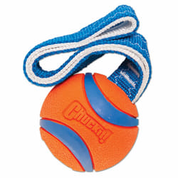 Chuckit! 231201 dog/cat toy