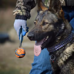 Chuckit! 231201 dog/cat toy