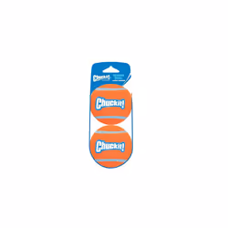 ChuckIt! Tennis Ball  Large 3 Inch 2 Pack