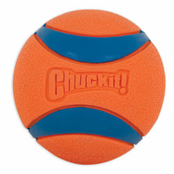 Chuckit! 170401 dog/cat toy
