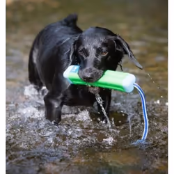 Chuckit! 18300 dog/cat toy - Additional view 5
