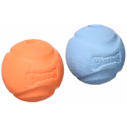 Chuckit Fetch Ball Small 2-Pack