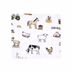 Hudson Baby 10208898_BOYFARM_ONESIZE baby blanket Boy