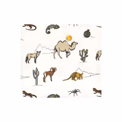 Hudson Baby 10209089_DESERTANIMALS_ONESIZE baby blanket Boy
