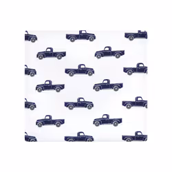 Hudson Baby 10214619_APPLEORCHARD_ONESIZE baby blanket Boy